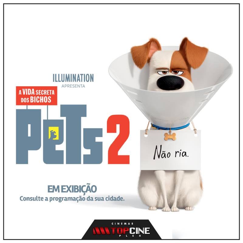 Pets 2