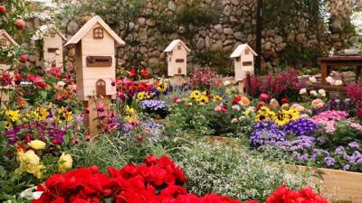 Expoflora 2019